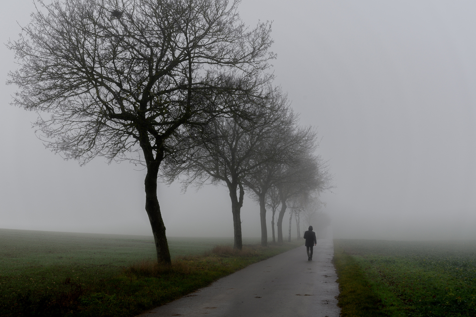 jeder-ist-allein-foto-bild-deutschland-europe-baden-w-rttemberg