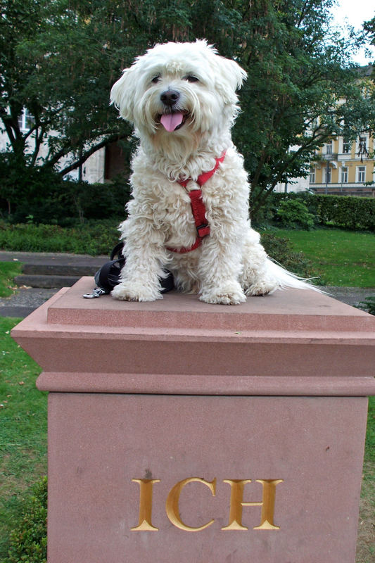 Jeder ist ein Denkmal