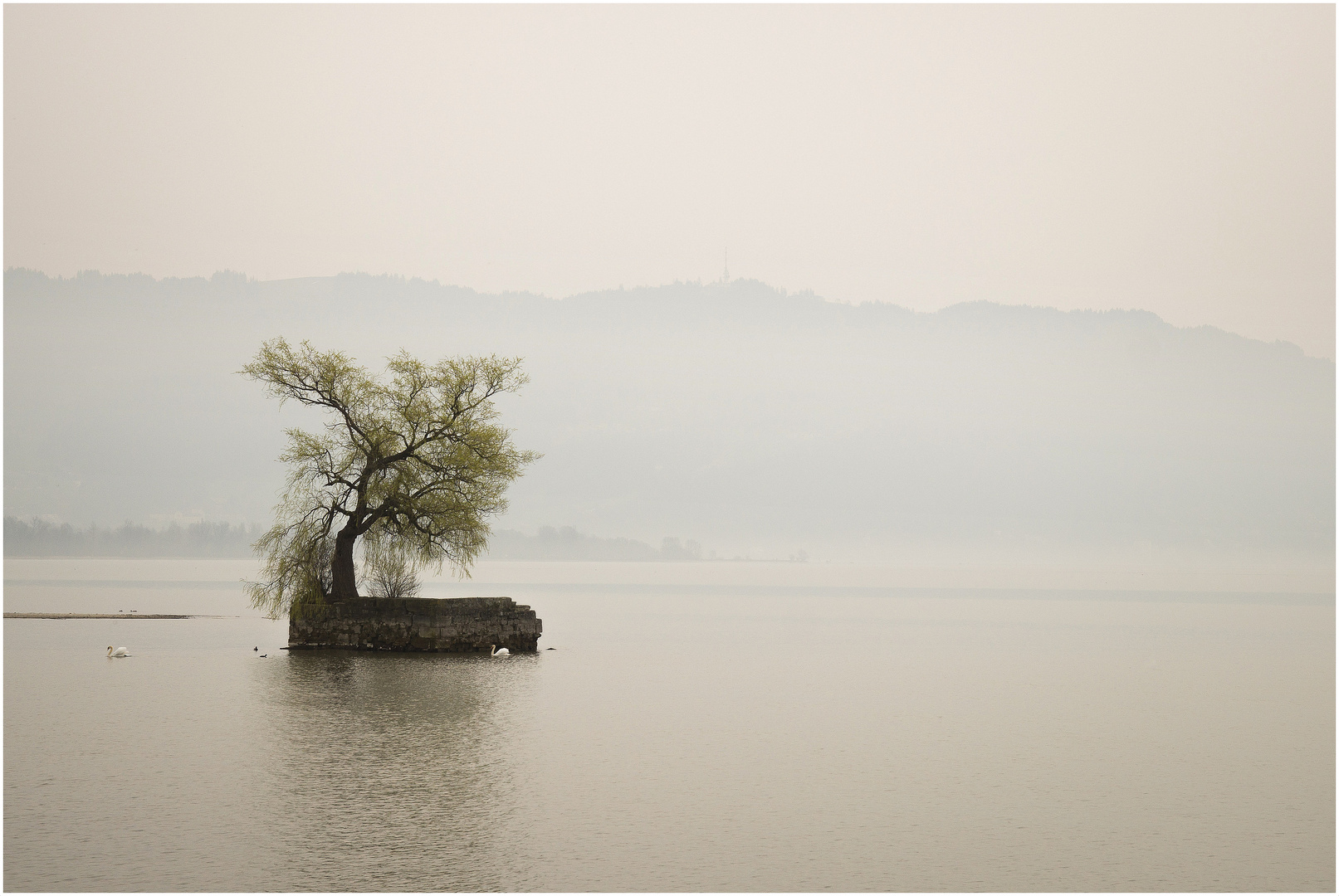 Jeder ist eine Insel