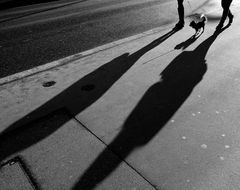 Jeder Schatten