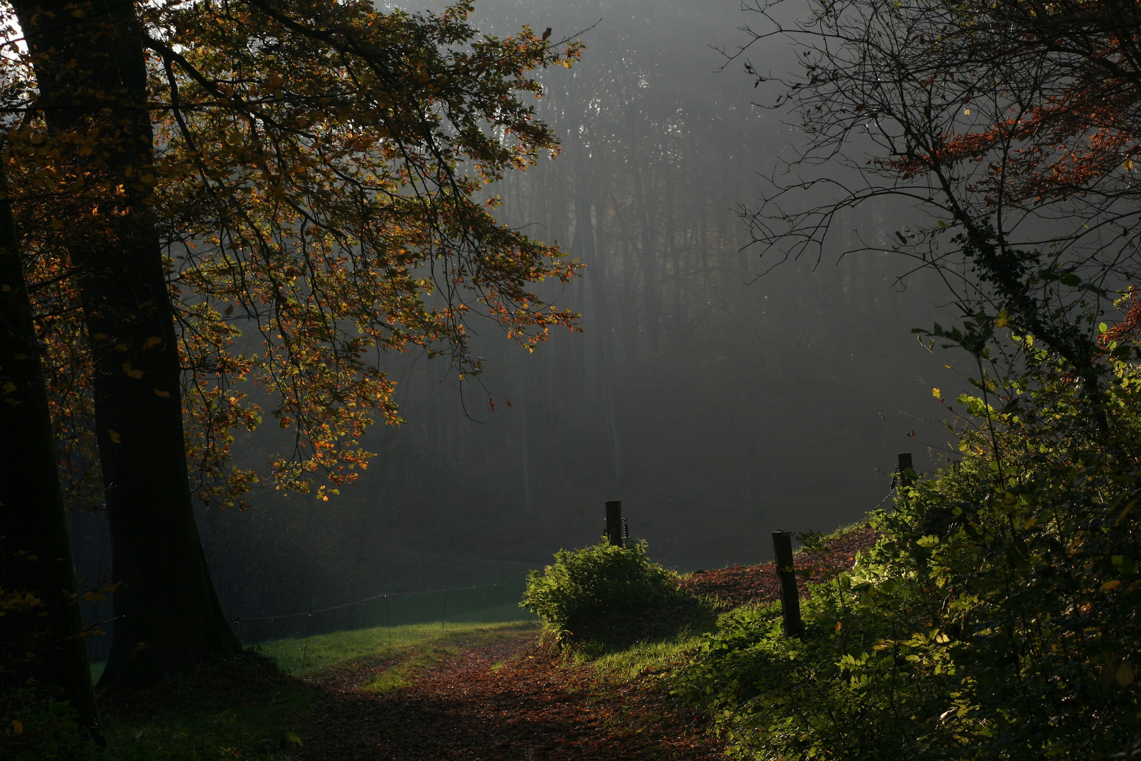 Jeder schöne Novembertag