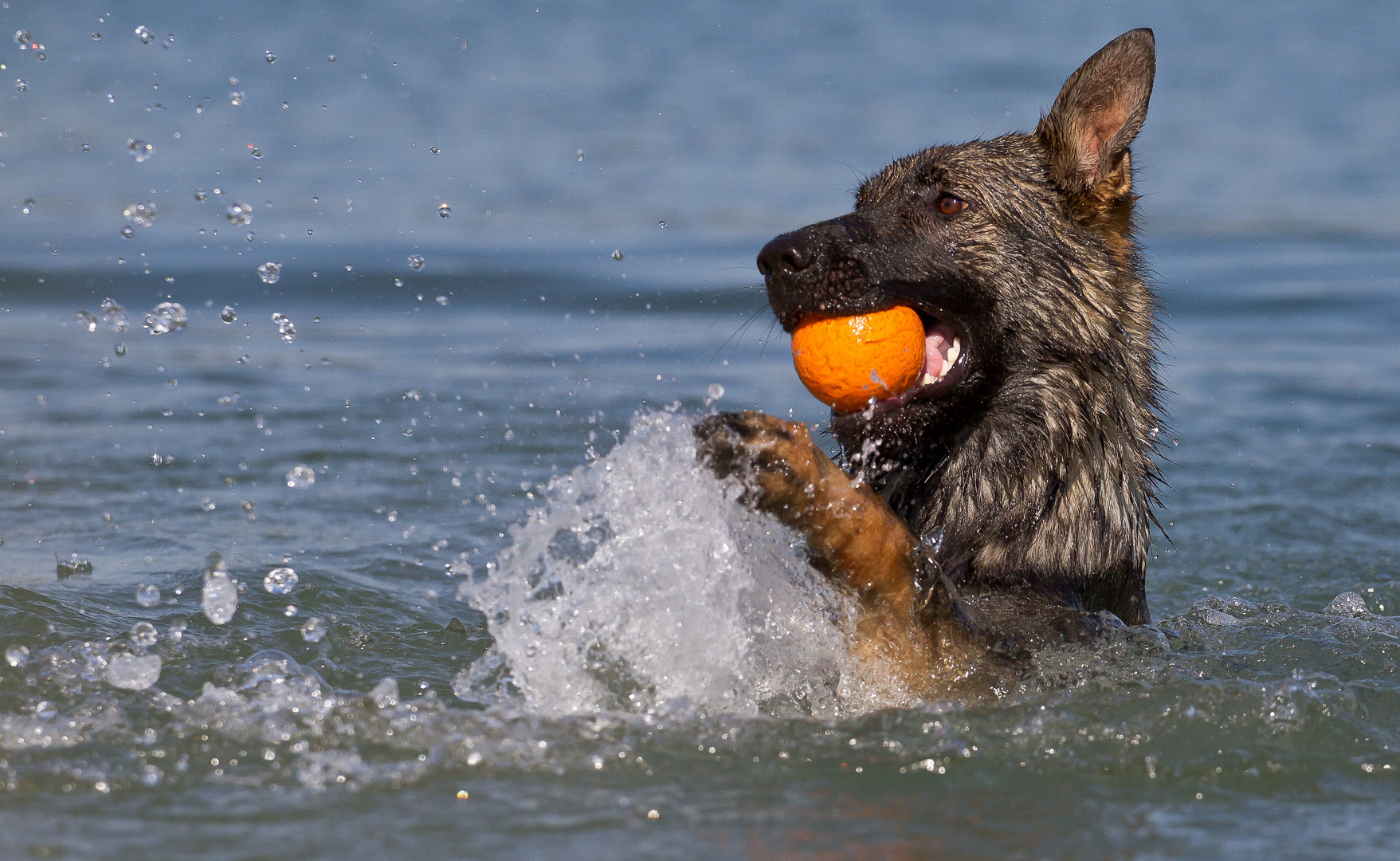 Jeder schwimmt anders :)