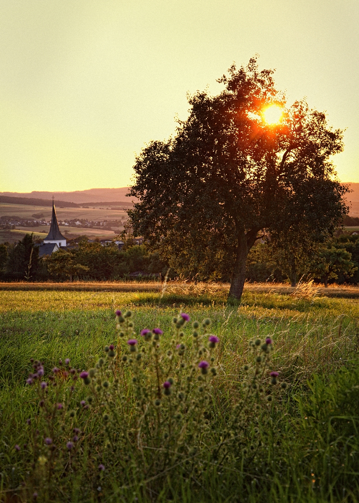 Jeder Tag ist eine lange Reise