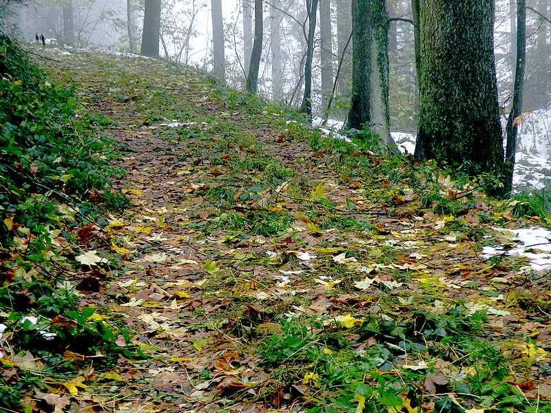 Jeder Weg führt ins Nichts