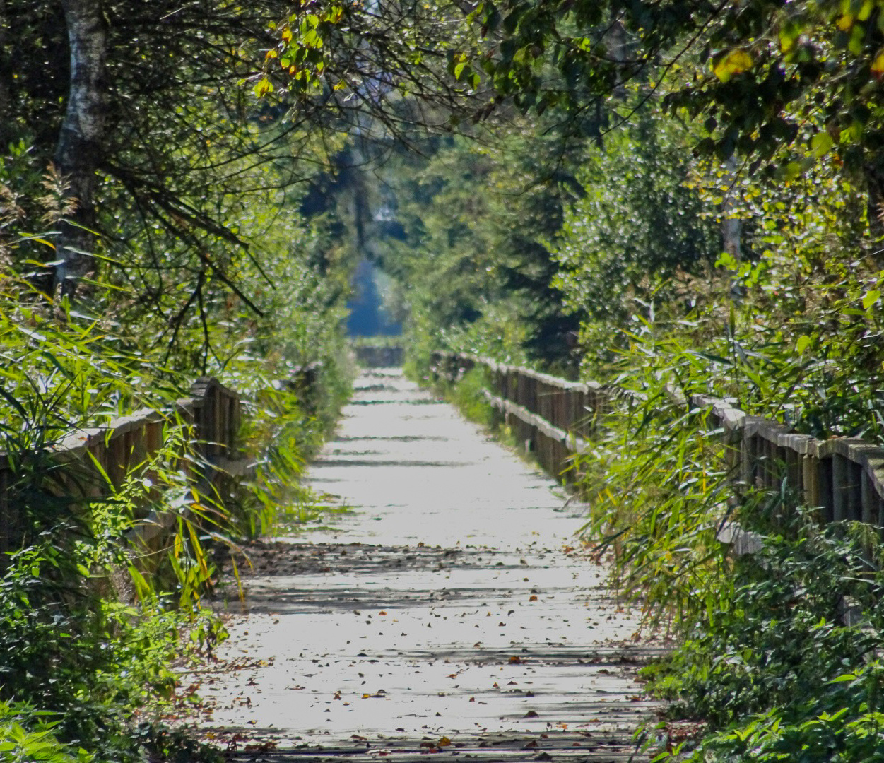 jeder Weg hat ein Ziel