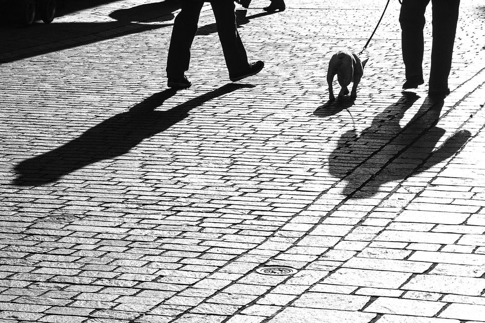 Jeder zieht seinen Schatten nach