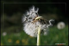 Jedes Ende - eine neue Chance