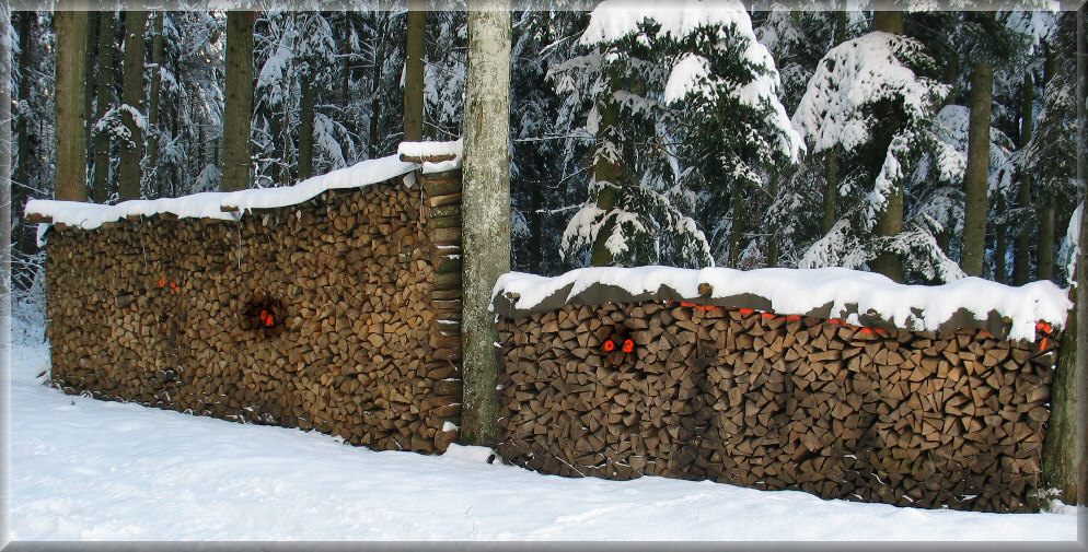 Jedes Jahr ein neuer Holzstapel