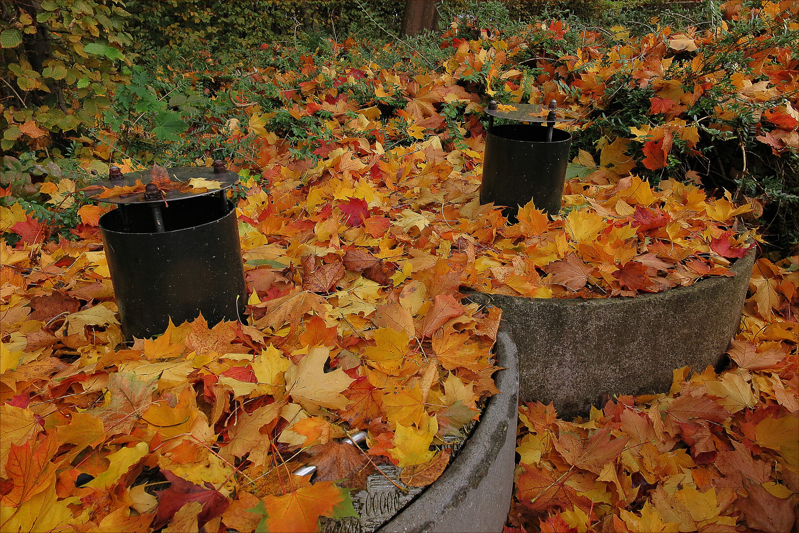 Jedes Jahr wieder schön...die Laubfärbung im Herbst