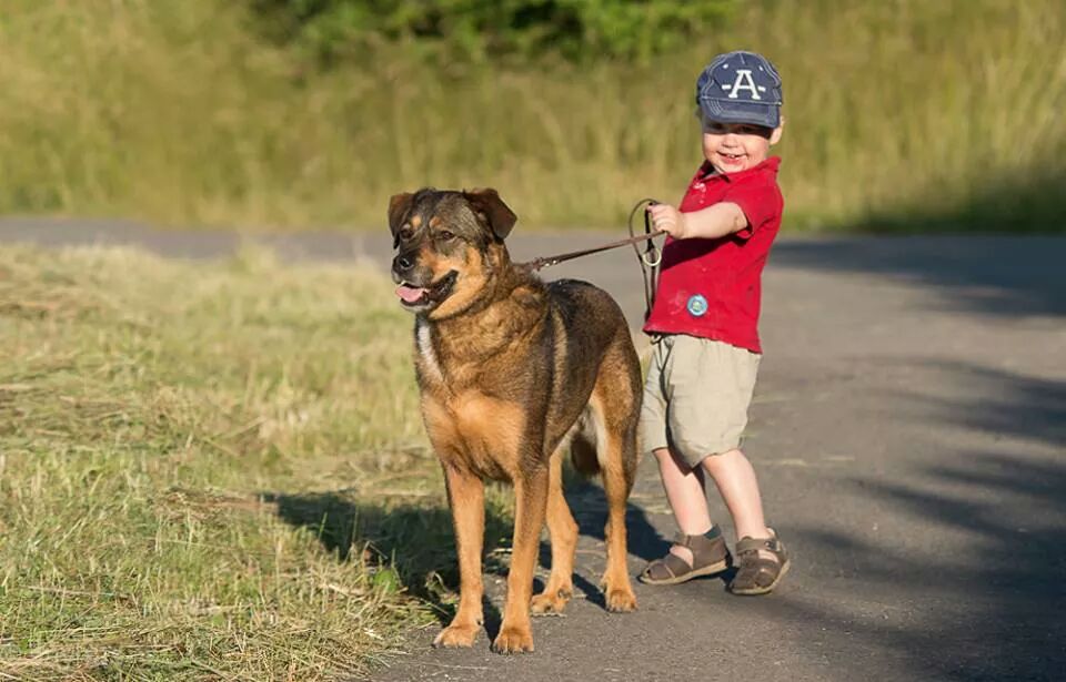 Jedes Kind braucht einen Hund