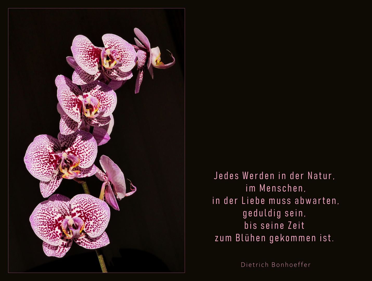 Jedes werden in der Natur..