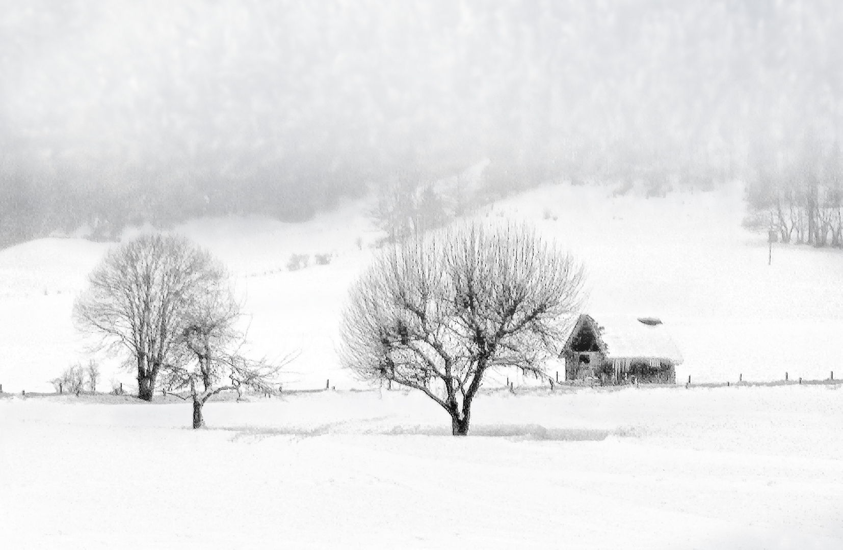 Jedes Wetter ist Fotowetter