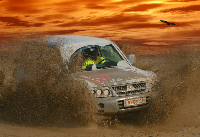 Jeep in Action von Silvia Fleisch