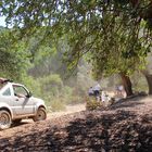 Jeep Safari