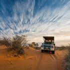 Jeep Safari Kalahari