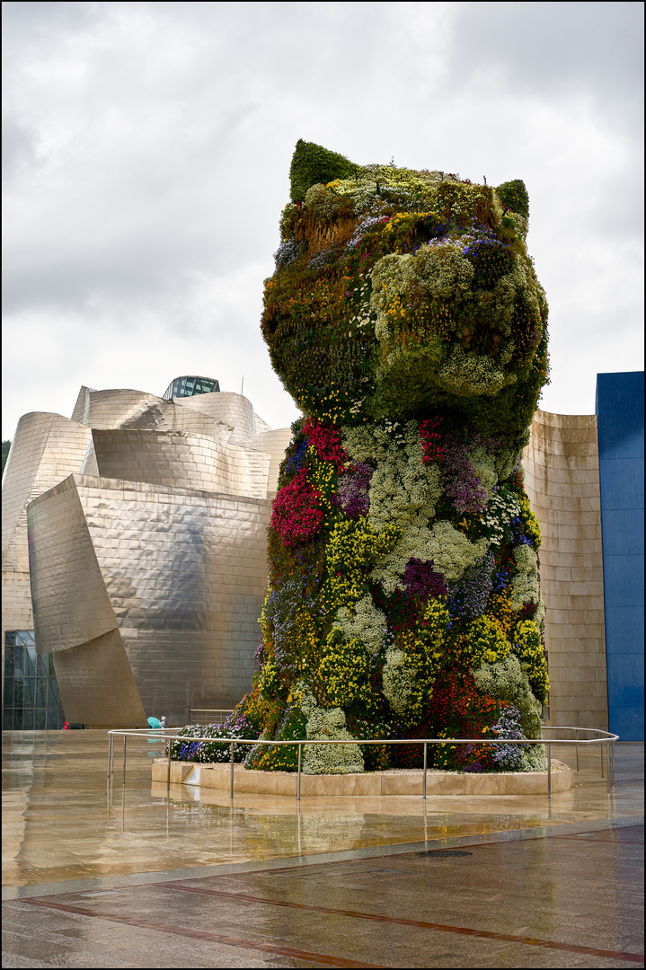  Jeff Koons: Puppy. On a rainy day. Bilbao.