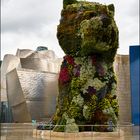  Jeff Koons: Puppy. On a rainy day. Bilbao.