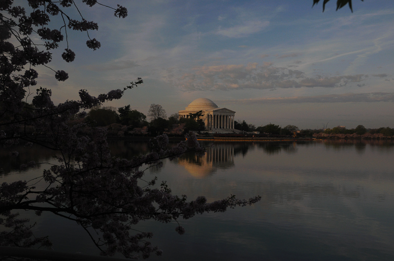 Jeffersopn Memorial drapped in Blossoms