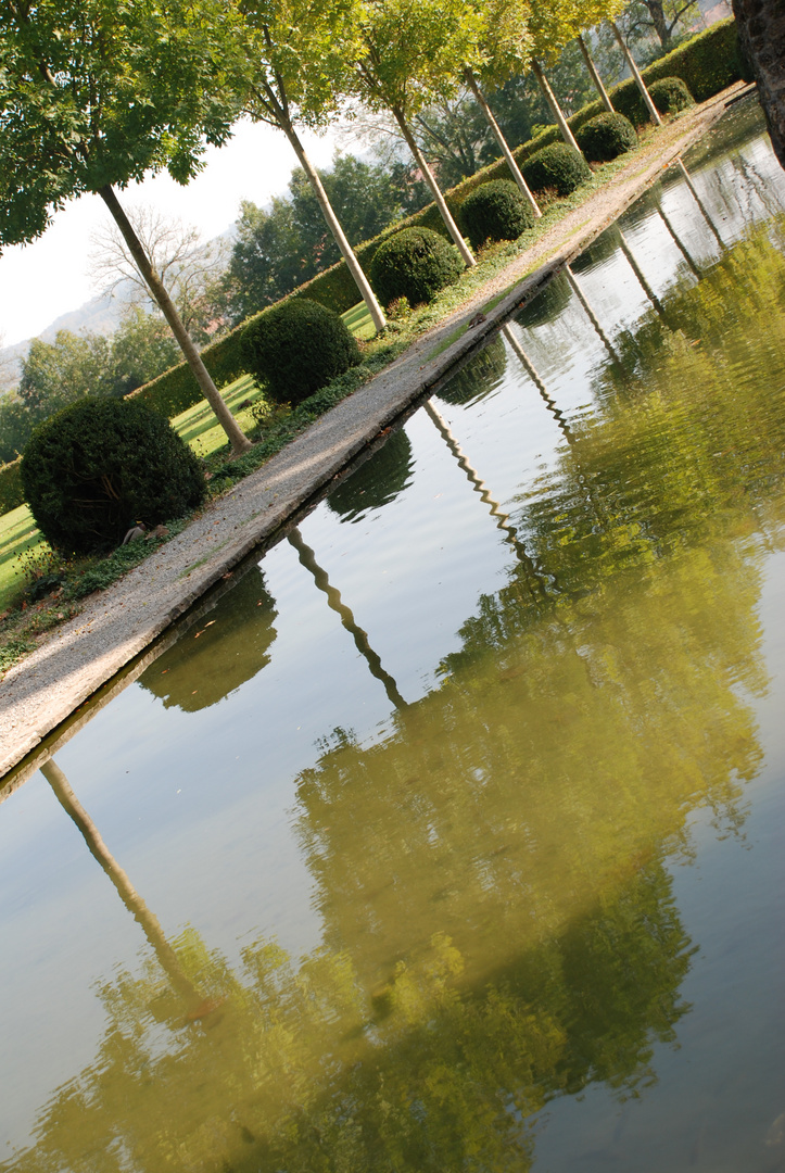 Jegenstorfer Schlosspark im Frühlingsgrün,gespiegelt