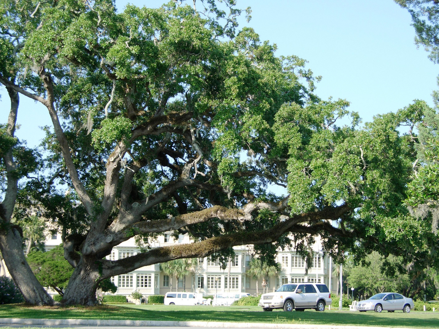 Jekyll Island 3