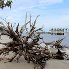 Jekyll Island Fishing Pier