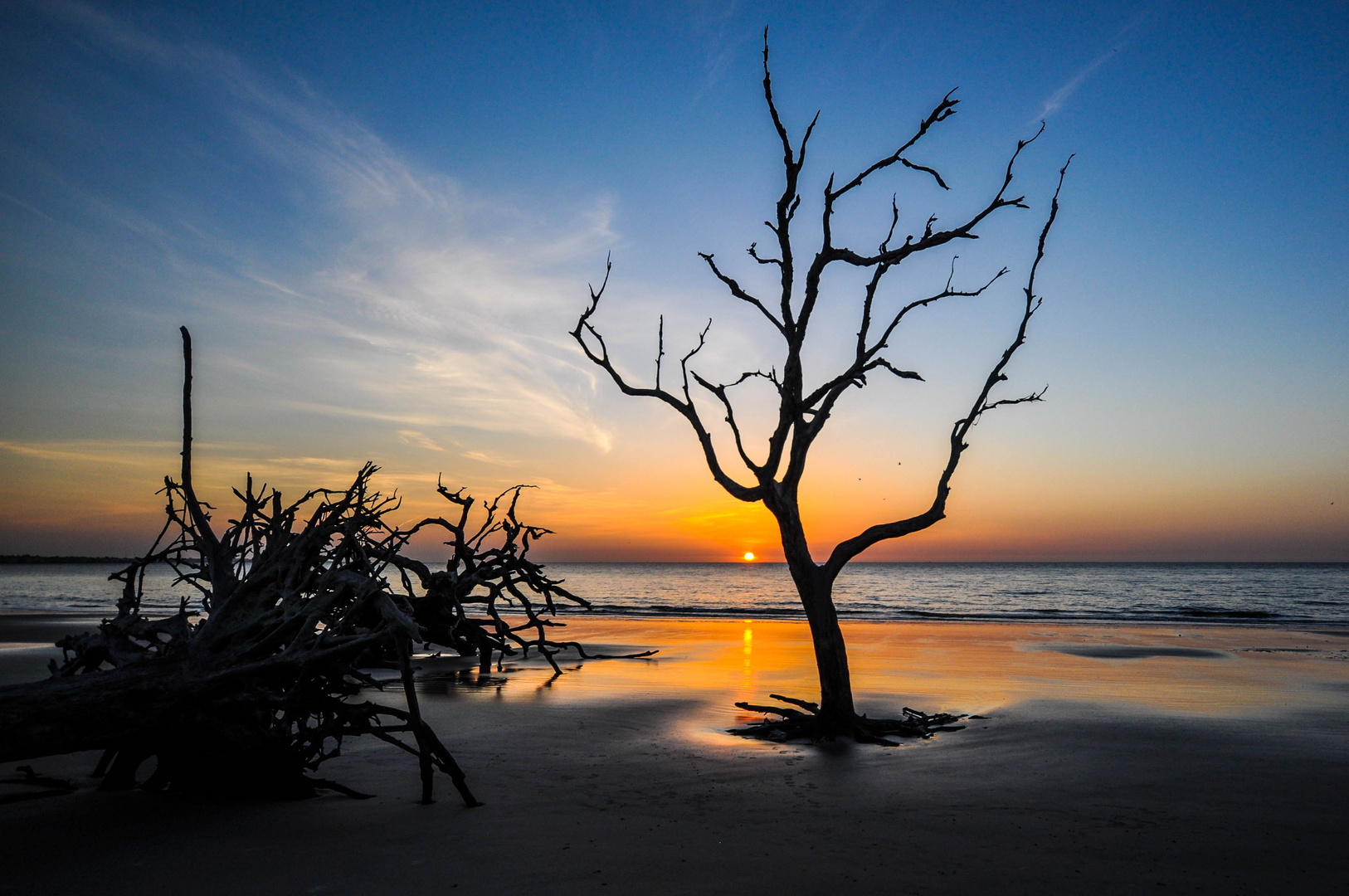 Jekyll Island, Ostküste, USA