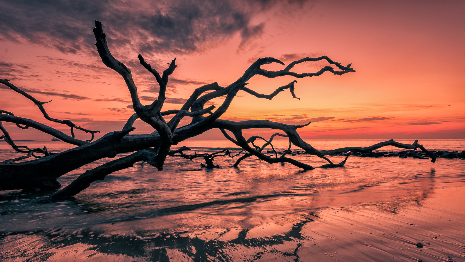 Jekyll Island Sunrise