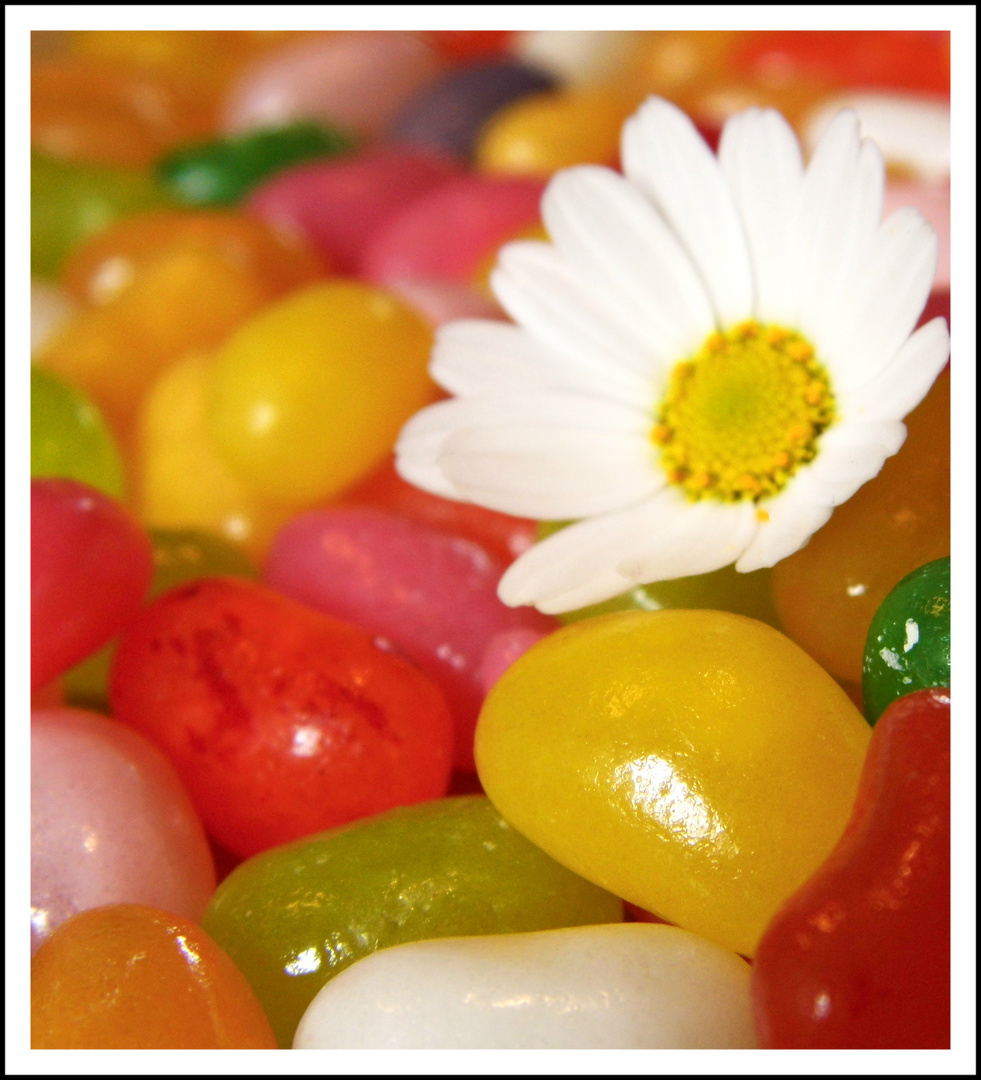 Jelly Blumenbeans