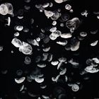 Jellyfish dance