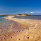 jellyfish island