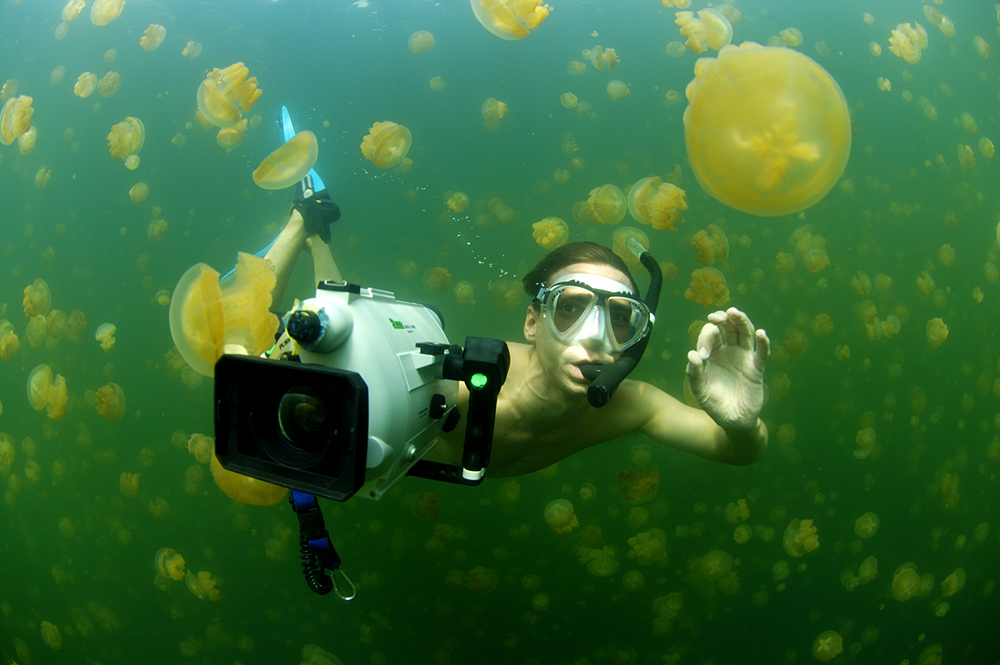 Jellyfish-Lake Palau