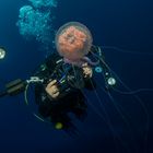 Jellyfish shooting II