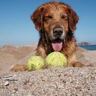 Jemand Lust auf Tennis am Strand?