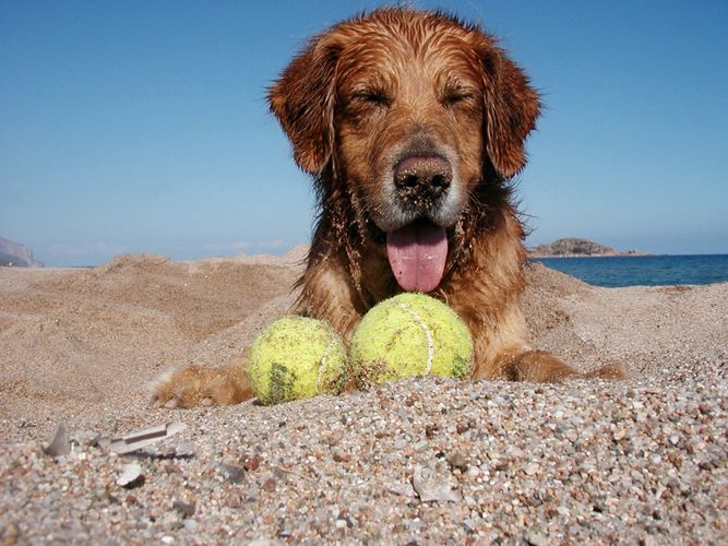 Jemand Lust auf Tennis am Strand?