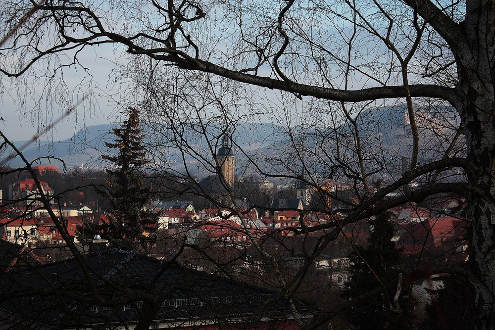 Jena bis Kunitz durch den Baum gesehen