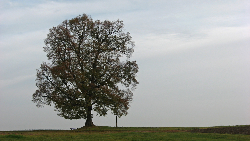 Jena-Kleinbockedra