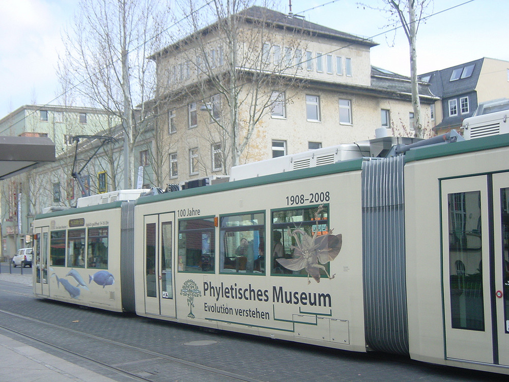 Jenaer Bahn- 100 Jahre Phyletisches Museum