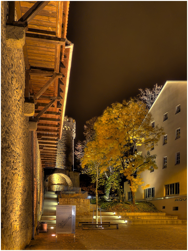 Jenaer Stadtmauer 2