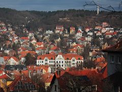 Jenaer Villenviertel vom Friedensberg aus gesehen