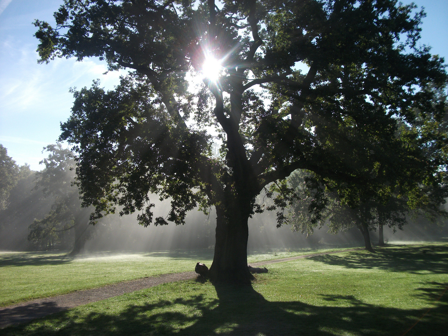 Jenisch Park