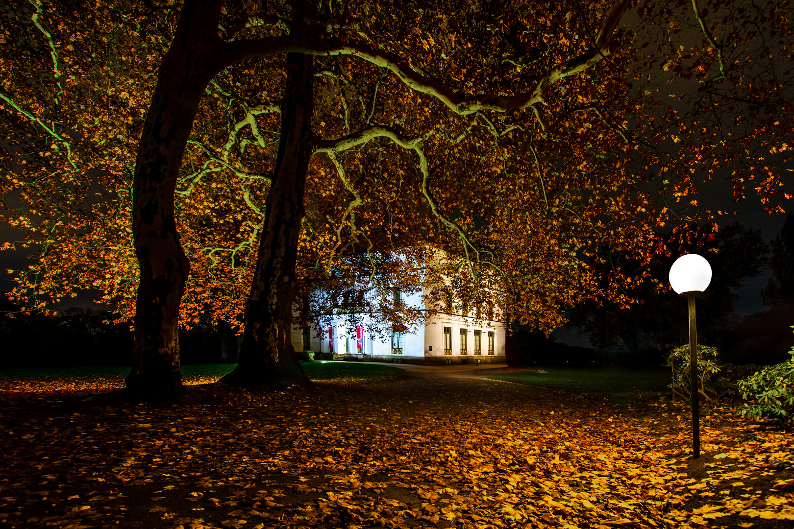 jenischhaus herbst 2018 