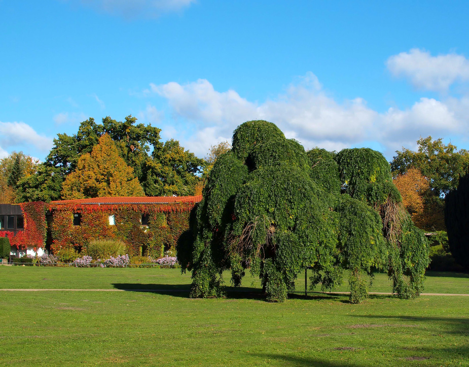 Jenischpark Hamburg