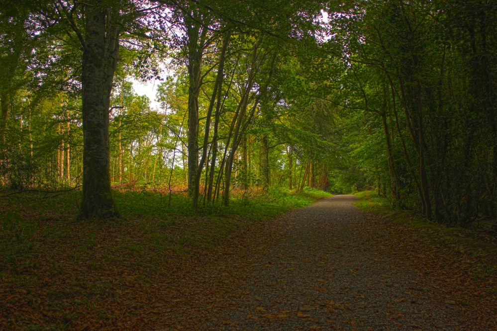 Jenkinstown Park, Kilkenny