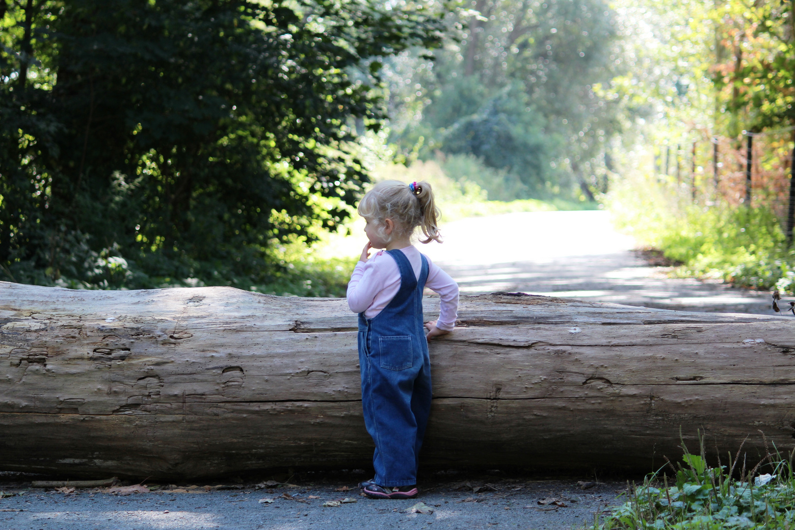 Jenni alein im Wald.