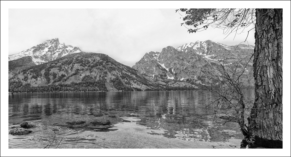 Jenny Lake 2015