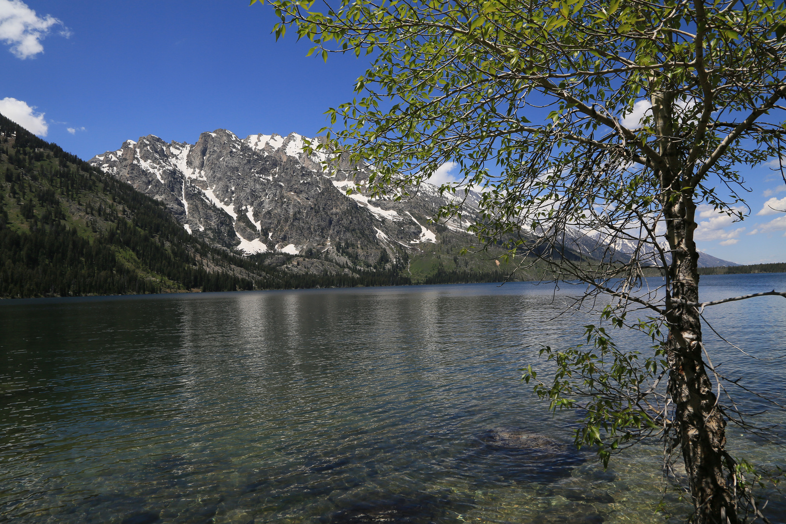 Jenny Lake