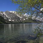 Jenny Lake