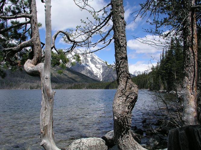 Jenny Lake