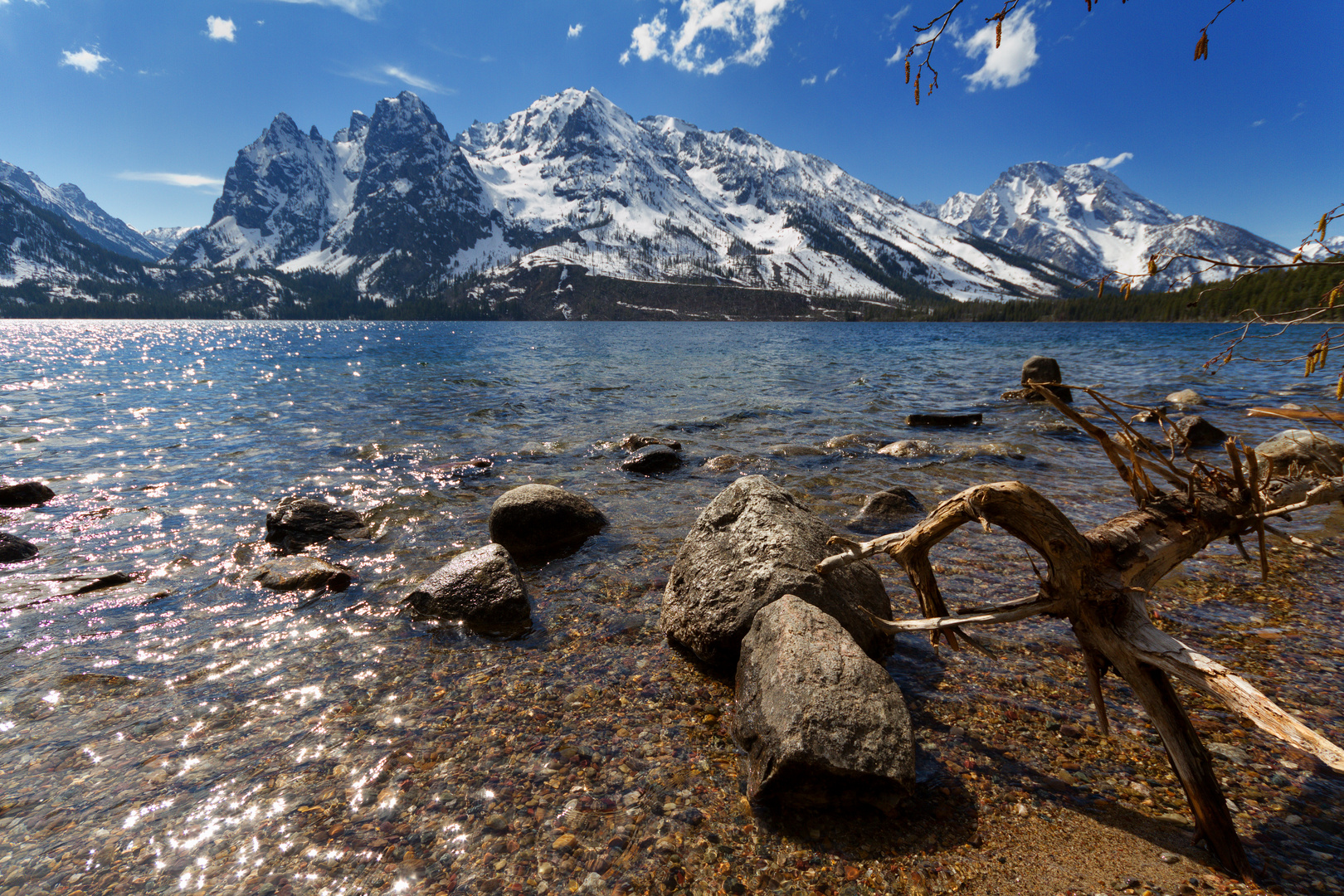 Jenny Lake, Grand Teton NP, Juni 2011