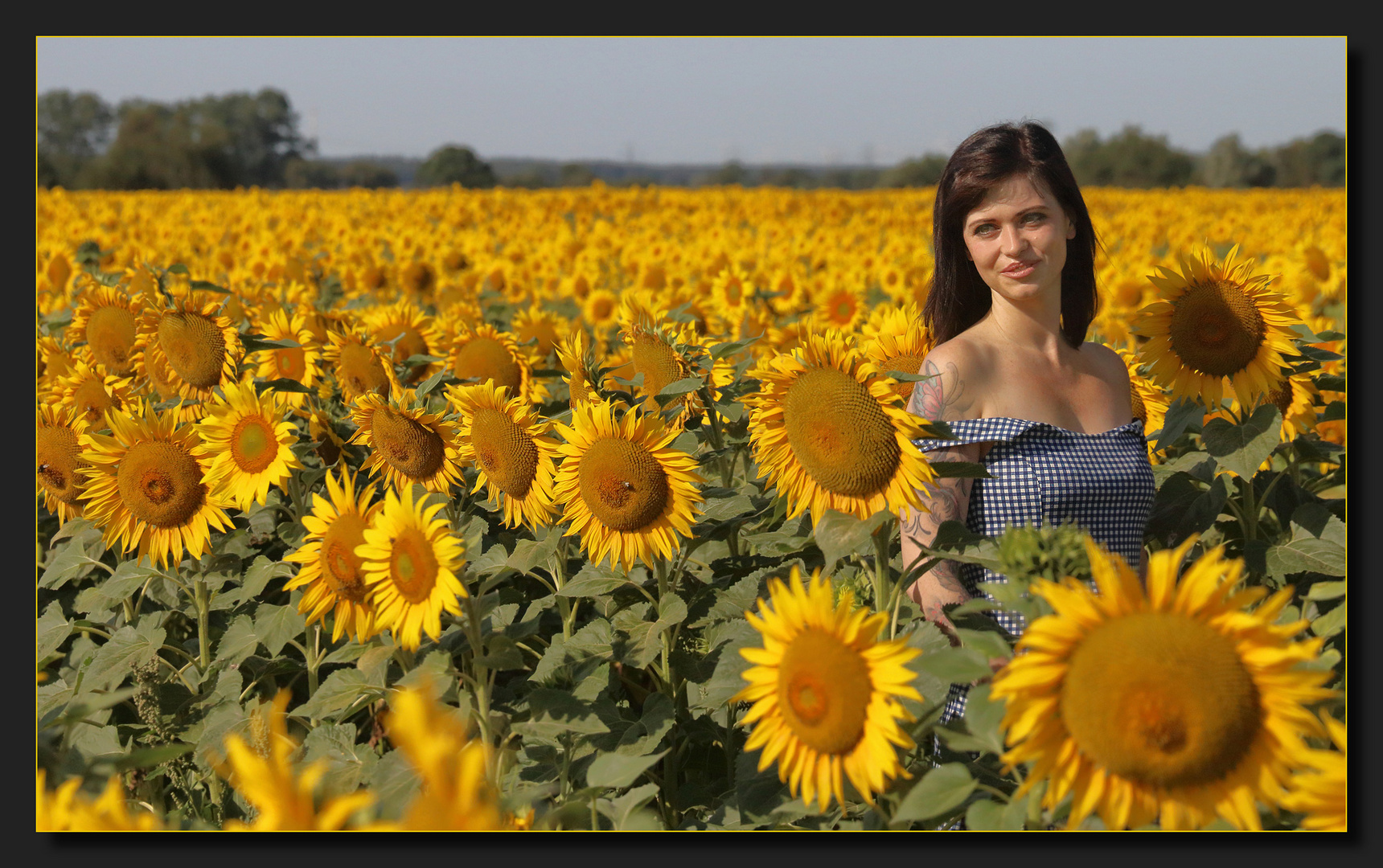 Jenny's sun flowers (2)